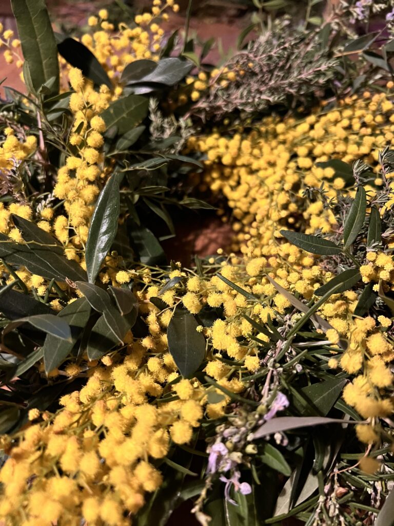 Corona d’Imbolc amb mimosa i herbes